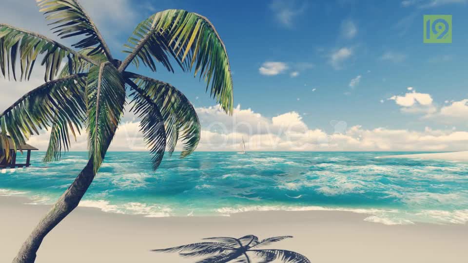 Beach 2 Videohive 19987484 Motion Graphics Image 1