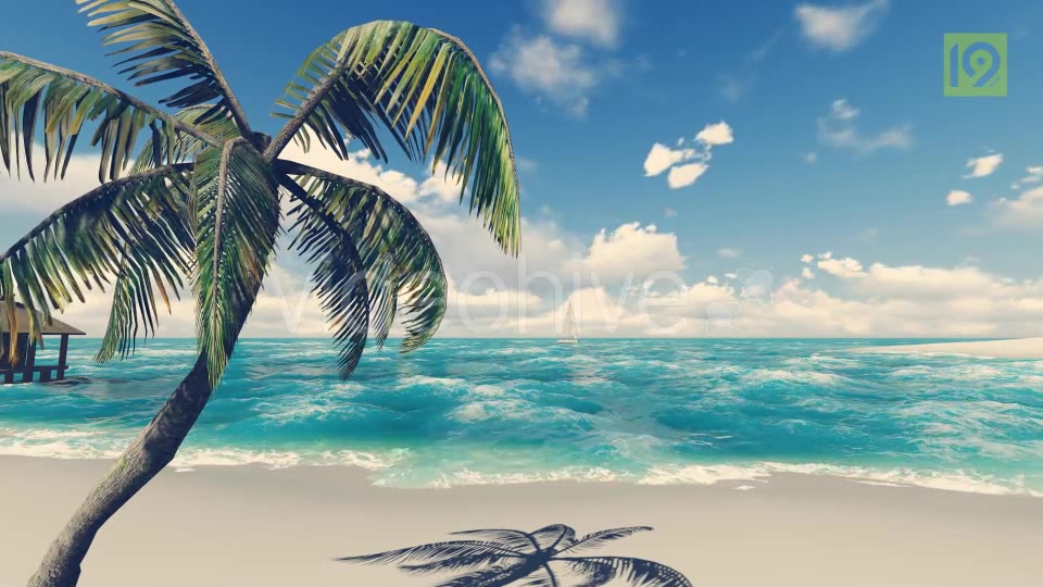 Beach 2 Videohive 19987484 Motion Graphics Image 4
