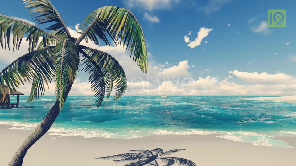 Beach 2 Videohive 19987484 Motion Graphics Image 5
