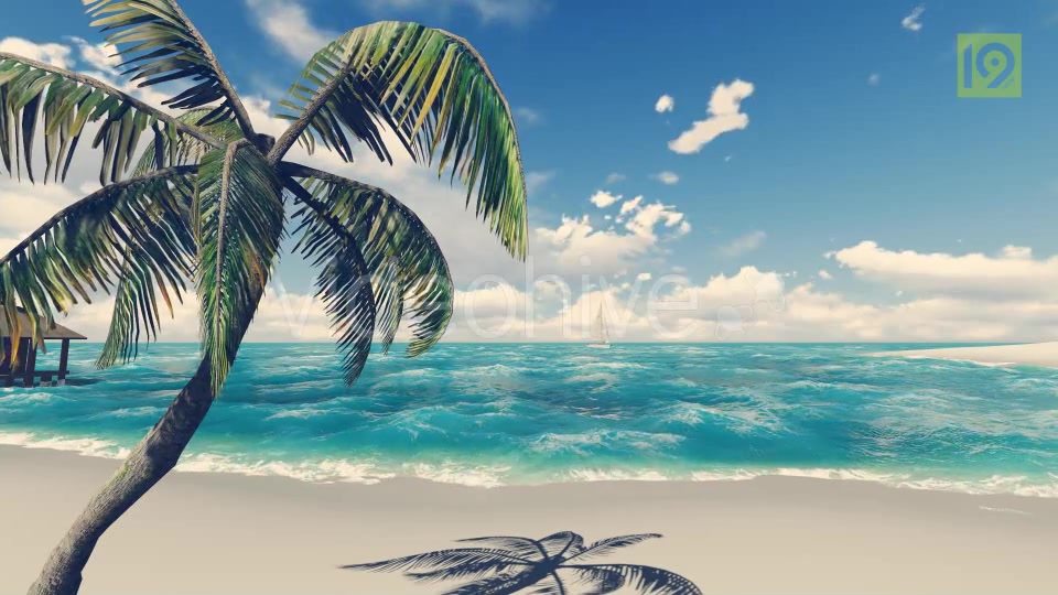 Beach 2 Videohive 19987484 Motion Graphics Image 6