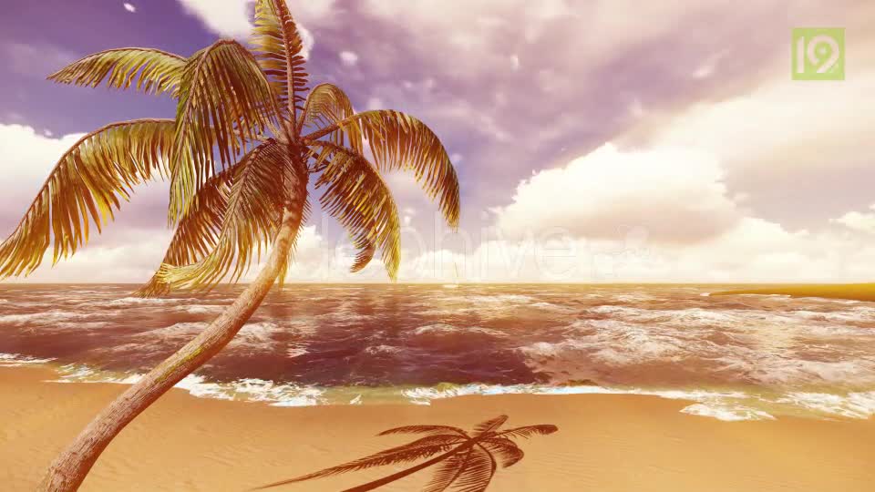 Beach Videohive 19987435 Motion Graphics Image 1