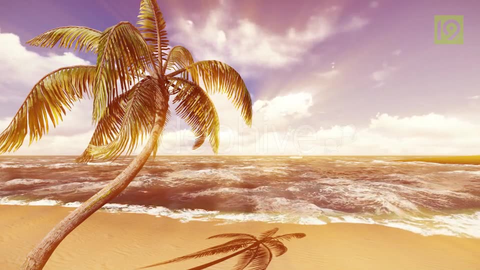 Beach Videohive 19987435 Motion Graphics Image 10