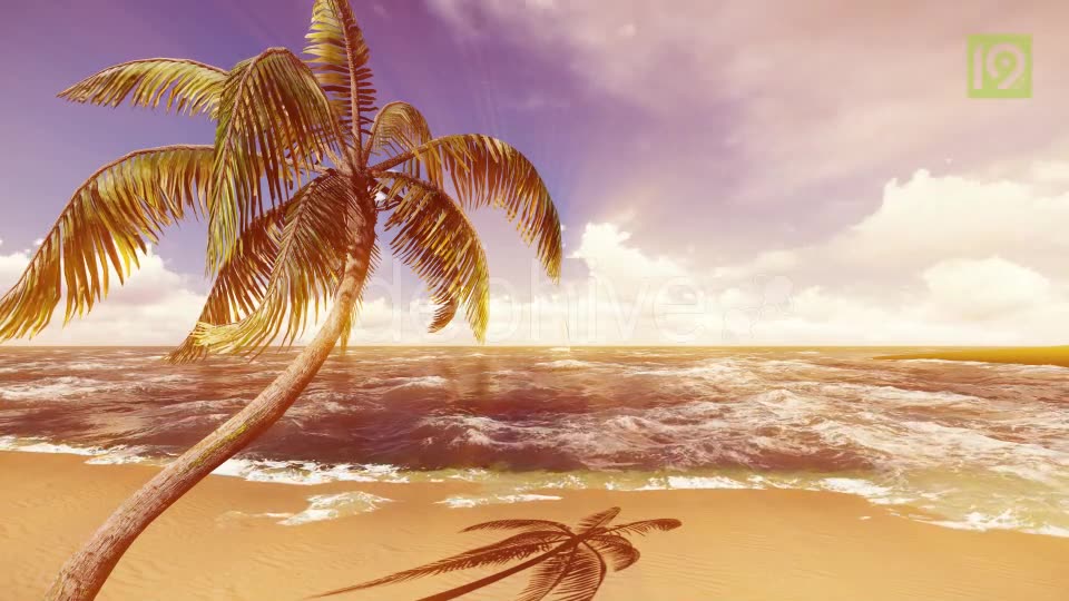 Beach Videohive 19987435 Motion Graphics Image 2