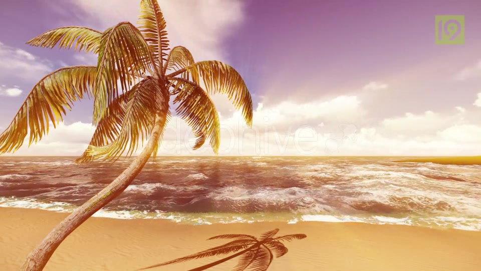 Beach Videohive 19987435 Motion Graphics Image 3