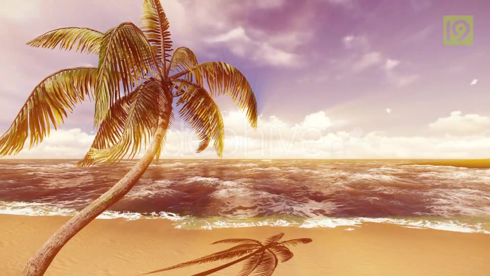 Beach Videohive 19987435 Motion Graphics Image 4