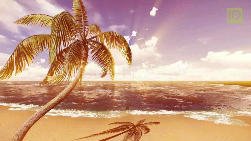 Beach Videohive 19987435 Motion Graphics Image 5
