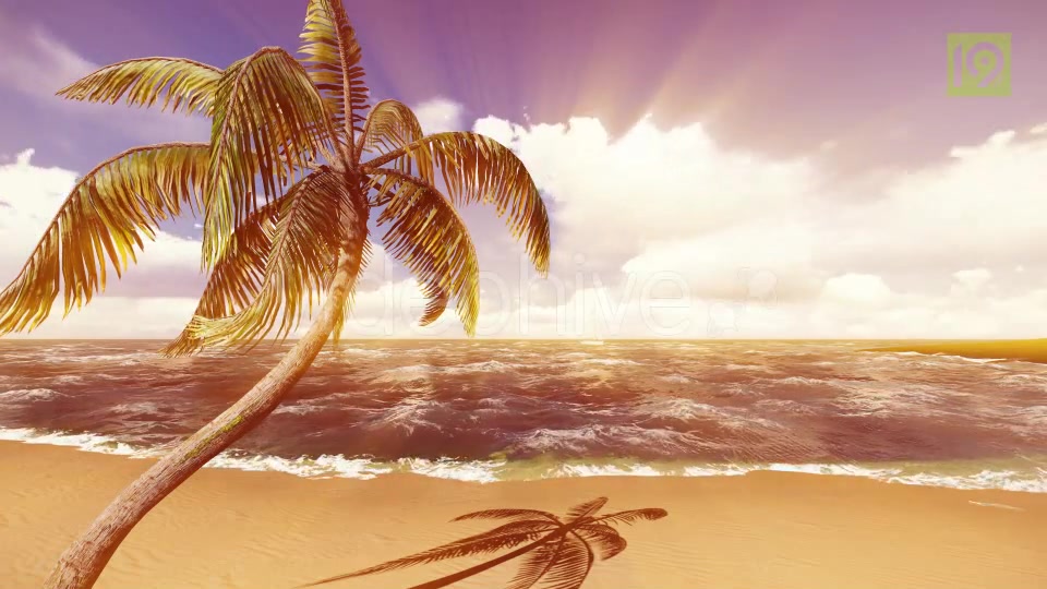 Beach Videohive 19987435 Motion Graphics Image 6