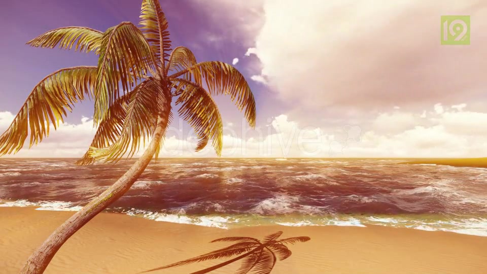 Beach Videohive 19987435 Motion Graphics Image 7