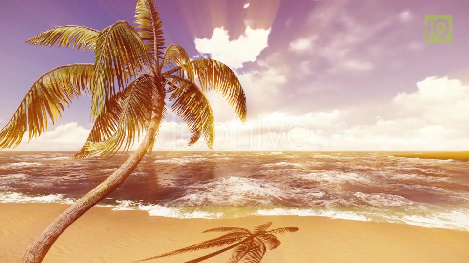 Beach Videohive 19987435 Motion Graphics Image 8