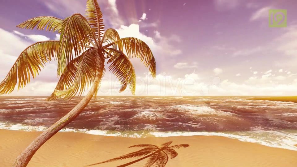 Beach Videohive 19987435 Motion Graphics Image 9