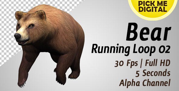 Bear Running Loop 02 - Videohive 19979455 Download