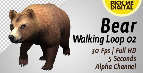 Bear Walking Loop 02 - Download 19979601 Videohive