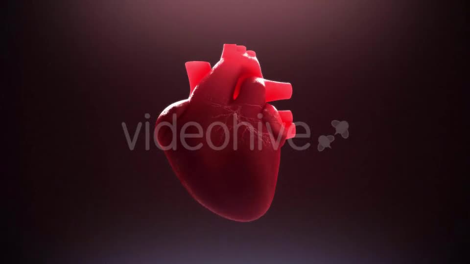 Beating Heart Videohive 21293236 Motion Graphics Image 1