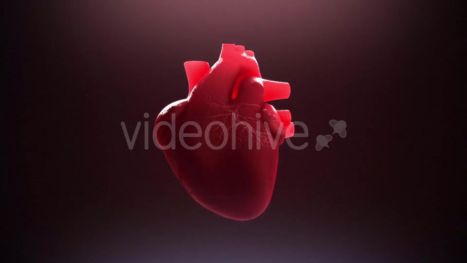 Beating Heart Videohive 21293236 Motion Graphics Image 2