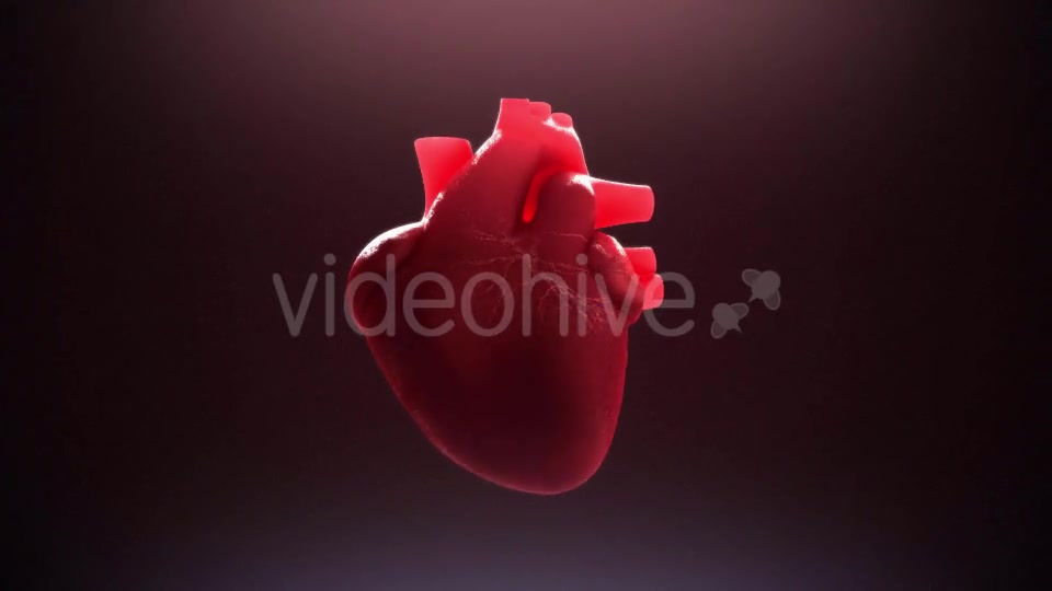 Beating Heart Videohive 21293236 Motion Graphics Image 3