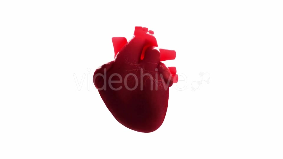 Beating Heart Videohive 21293236 Motion Graphics Image 4