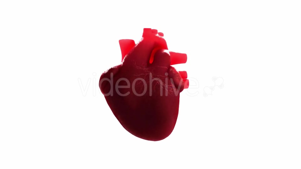 Beating Heart Videohive 21293236 Motion Graphics Image 5