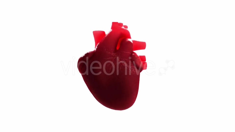 Beating Heart Videohive 21293236 Motion Graphics Image 6
