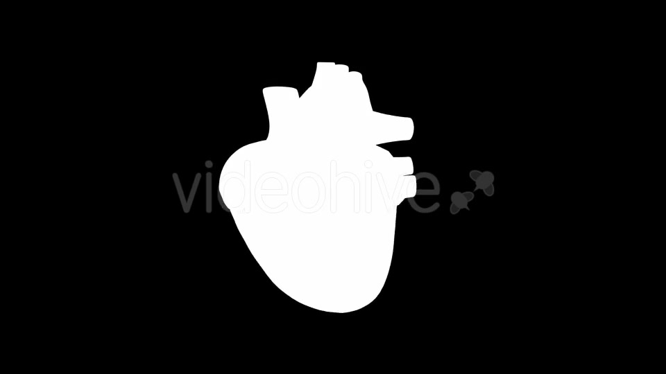 Beating Heart Videohive 21293236 Motion Graphics Image 7