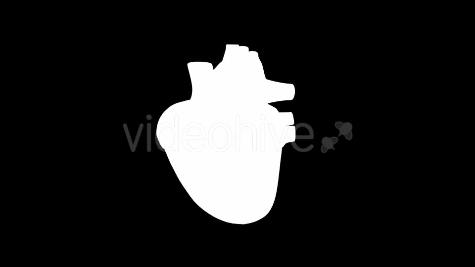 Beating Heart Videohive 21293236 Motion Graphics Image 8