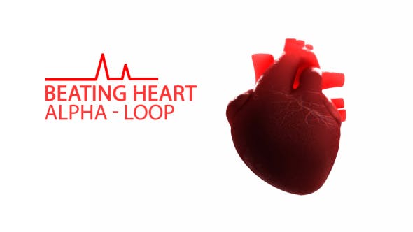 Beating Heart - Videohive Download 21293236