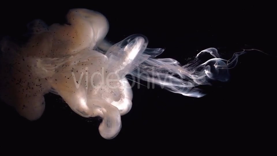 Beautiful Bright Cloud Dye Dissolved In Water Videohive 17510201 Motion Graphics Image 6