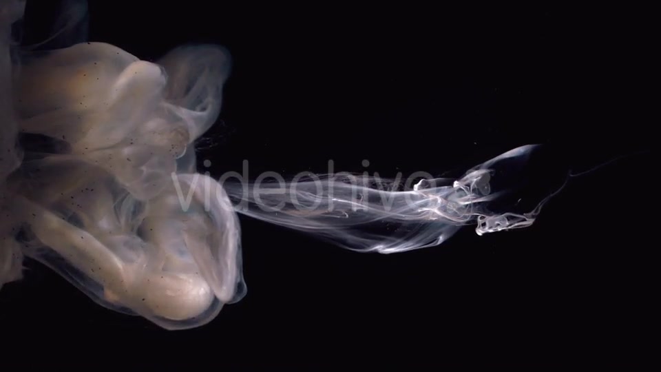 Beautiful Bright Cloud Dye Dissolved In Water Videohive 17510201 Motion Graphics Image 9