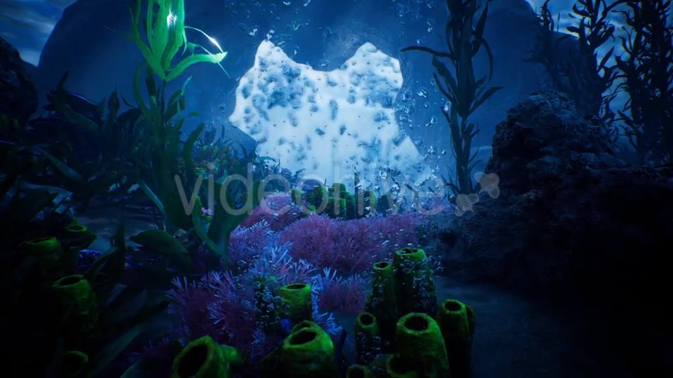 Beauty In Under Water Videohive 20331872 Motion Graphics Image 2