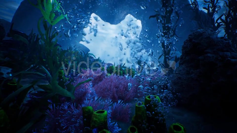 Beauty In Under Water Videohive 20331872 Motion Graphics Image 3