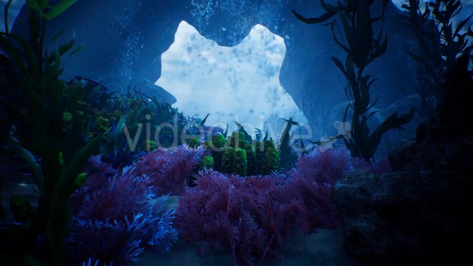 Beauty In Under Water Videohive 20331872 Motion Graphics Image 5