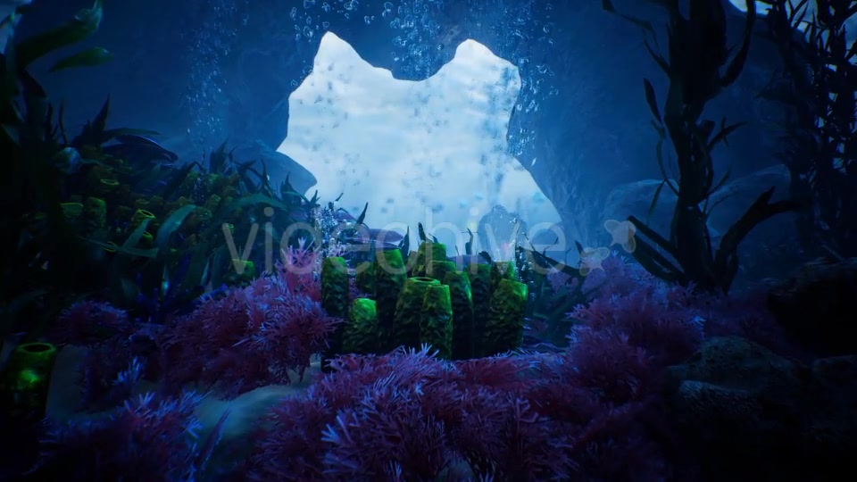 Beauty In Under Water Videohive 20331872 Motion Graphics Image 6