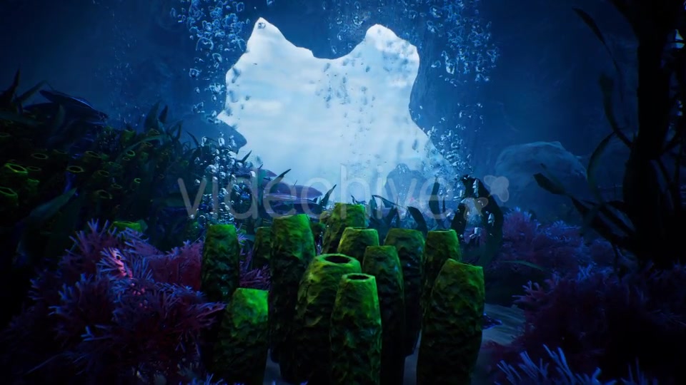 Beauty In Under Water Videohive 20331872 Motion Graphics Image 8