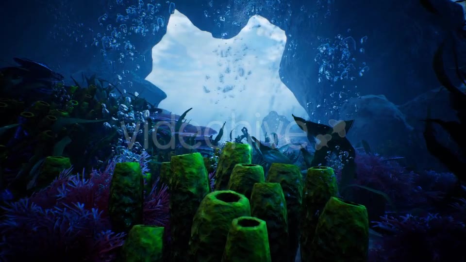 Beauty In Under Water Videohive 20331872 Motion Graphics Image 9