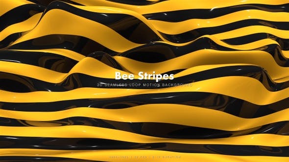 Bee Stripes 12 - Videohive Download 23109602
