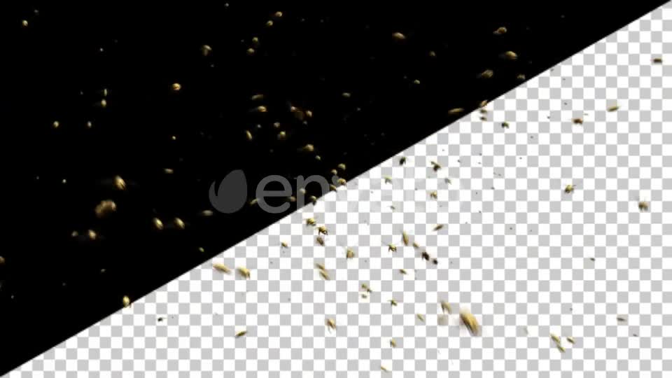 Bee Swarm Videohive 25544932 Motion Graphics Image 1