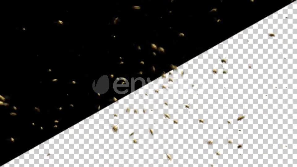 Bee Swarm Videohive 25544932 Motion Graphics Image 2