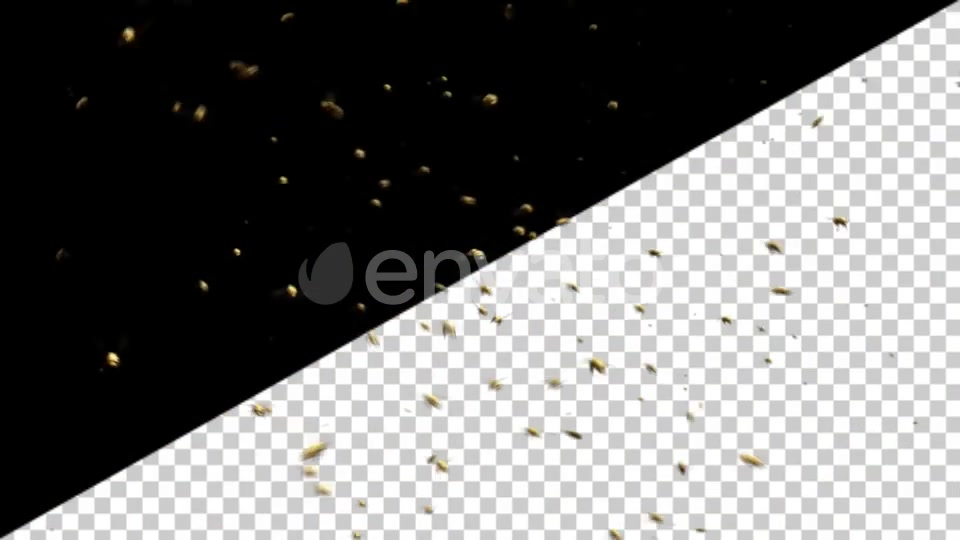 Bee Swarm Videohive 25544932 Motion Graphics Image 3