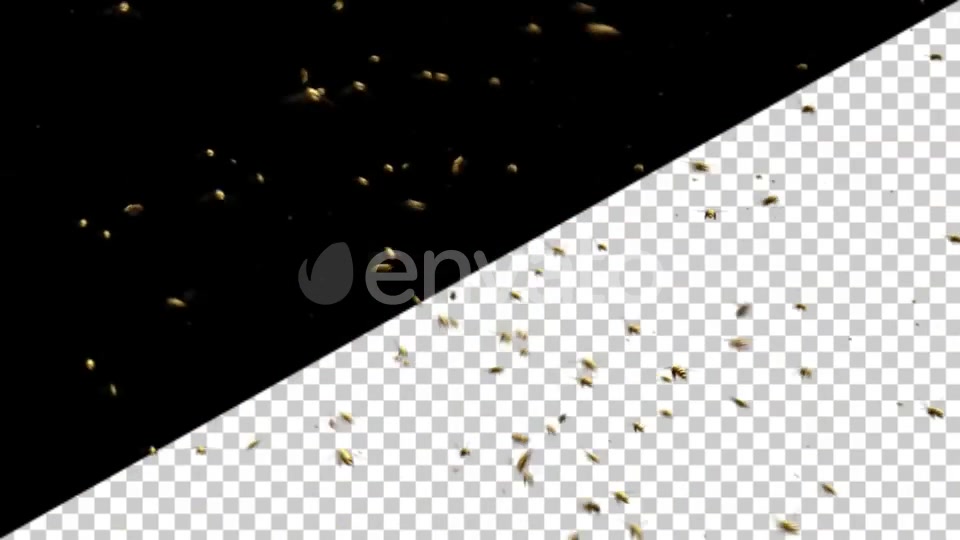 Bee Swarm Videohive 25544932 Motion Graphics Image 4