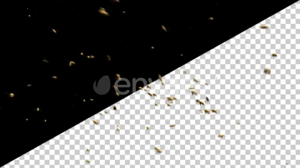 Bee Swarm Videohive 25544932 Motion Graphics Image 5