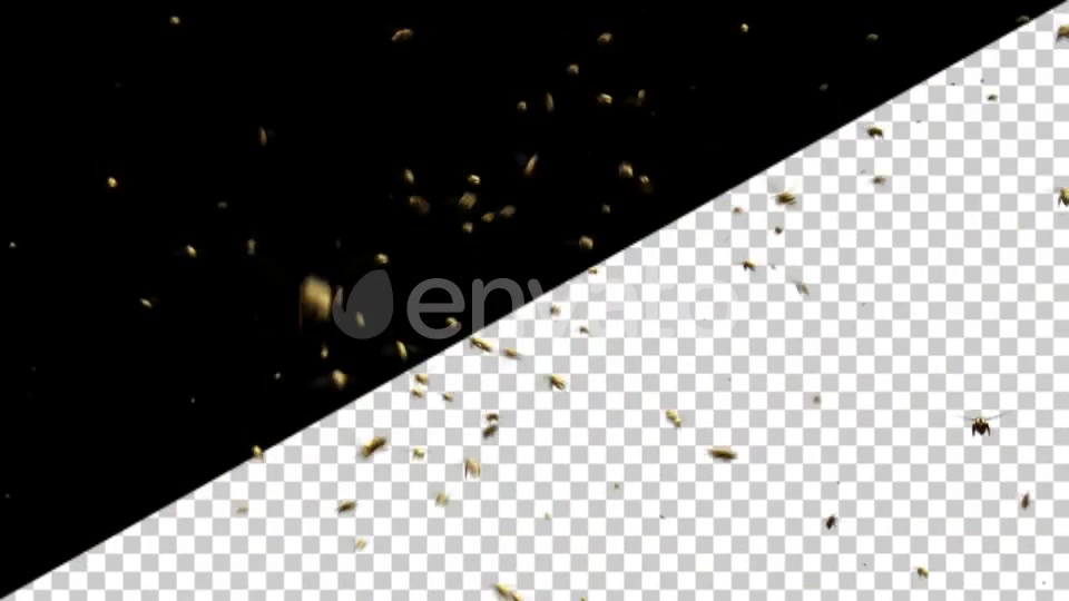 Bee Swarm Videohive 25544932 Motion Graphics Image 6