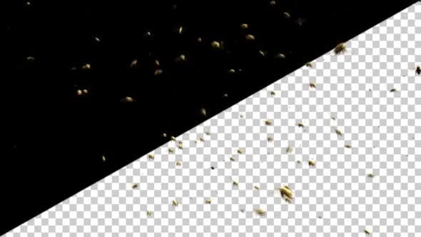 Bee Swarm - Videohive Download 25544932