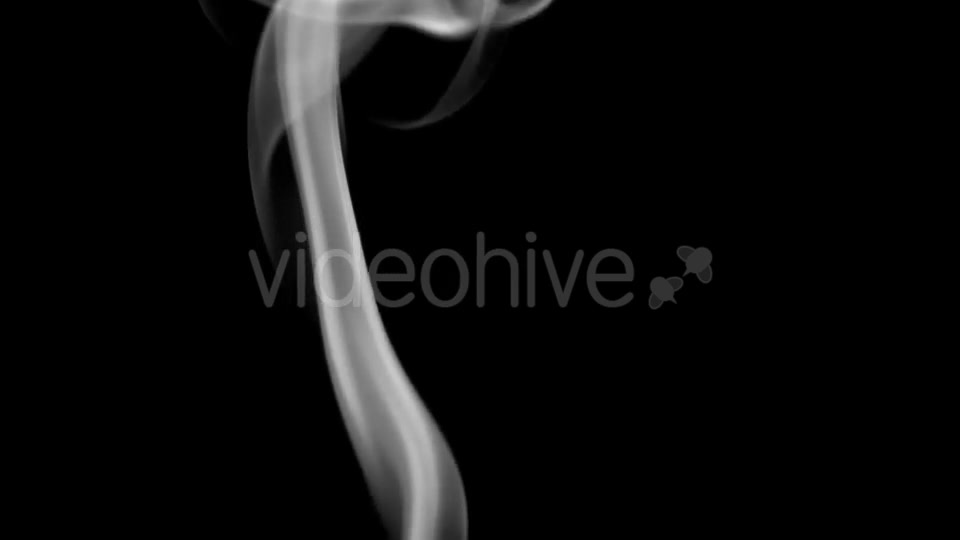 Big Curls of Cigar Smoke Videohive 21155156 Motion Graphics Image 12