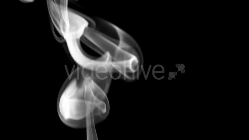 Big Curls of Cigar Smoke Videohive 21155156 Motion Graphics Image 5