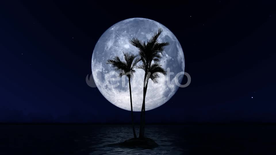 Big Moon and Palm Tree Videohive 23781775 Motion Graphics Image 1