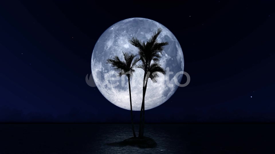 Big Moon and Palm Tree Videohive 23781775 Motion Graphics Image 10