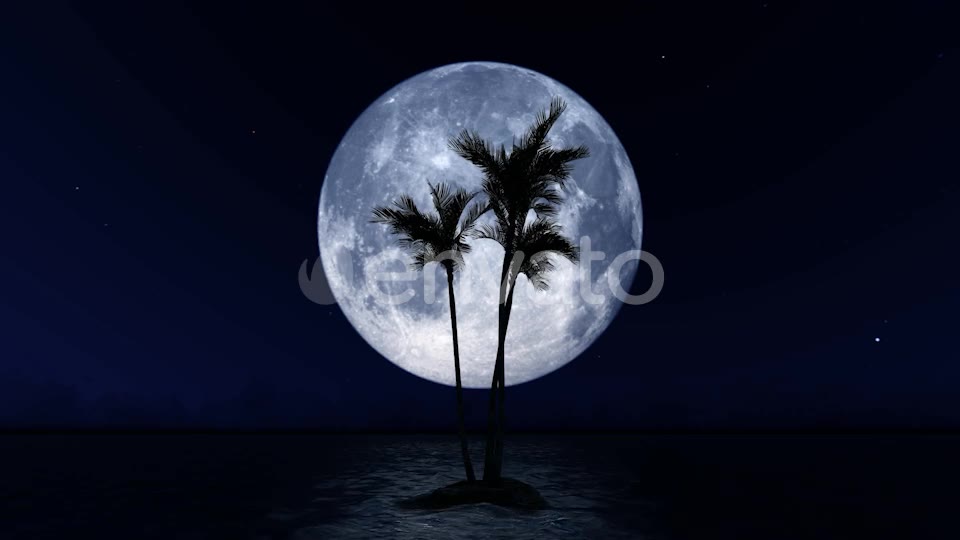 Big Moon and Palm Tree Videohive 23781775 Motion Graphics Image 2