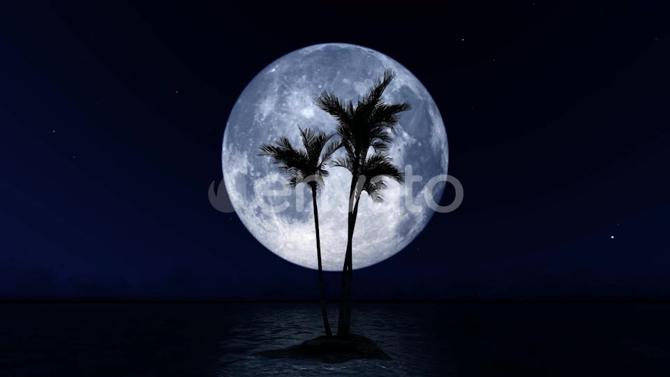 Big Moon and Palm Tree Videohive 23781775 Motion Graphics Image 3