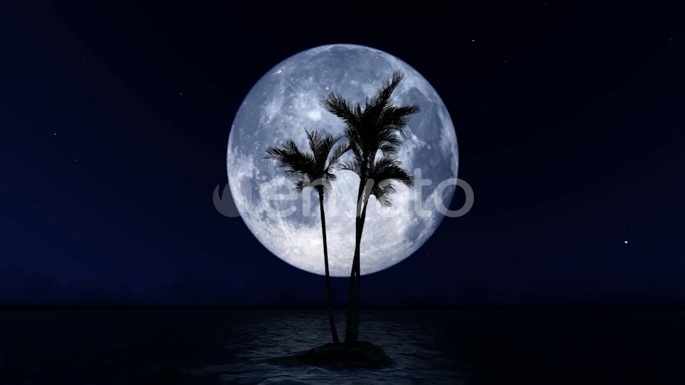 Big Moon and Palm Tree Videohive 23781775 Motion Graphics Image 4