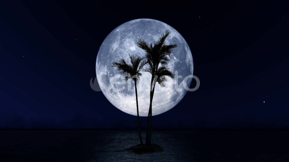 Big Moon and Palm Tree Videohive 23781775 Motion Graphics Image 5