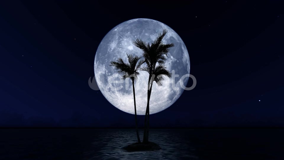 Big Moon and Palm Tree Videohive 23781775 Motion Graphics Image 7